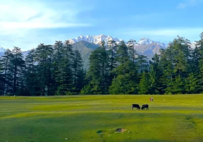 Best Time to Visit Jibhi Himachal Pradesh: A Complete Month-by-Month Guide (2026)