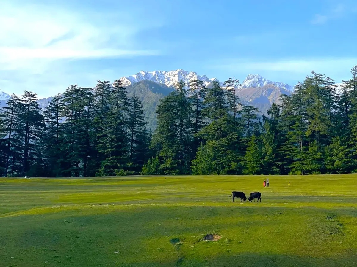 Best time to visit Jibhi Himachal Pradesh – lush Tirthan Valley view by Anomrids Travel