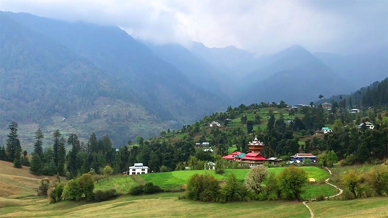 Shangarh Himachal Pradesh travel blog – green meadows surrounded by deodar pine forests