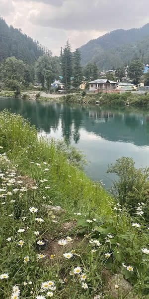 anomrids-travels-nature-view